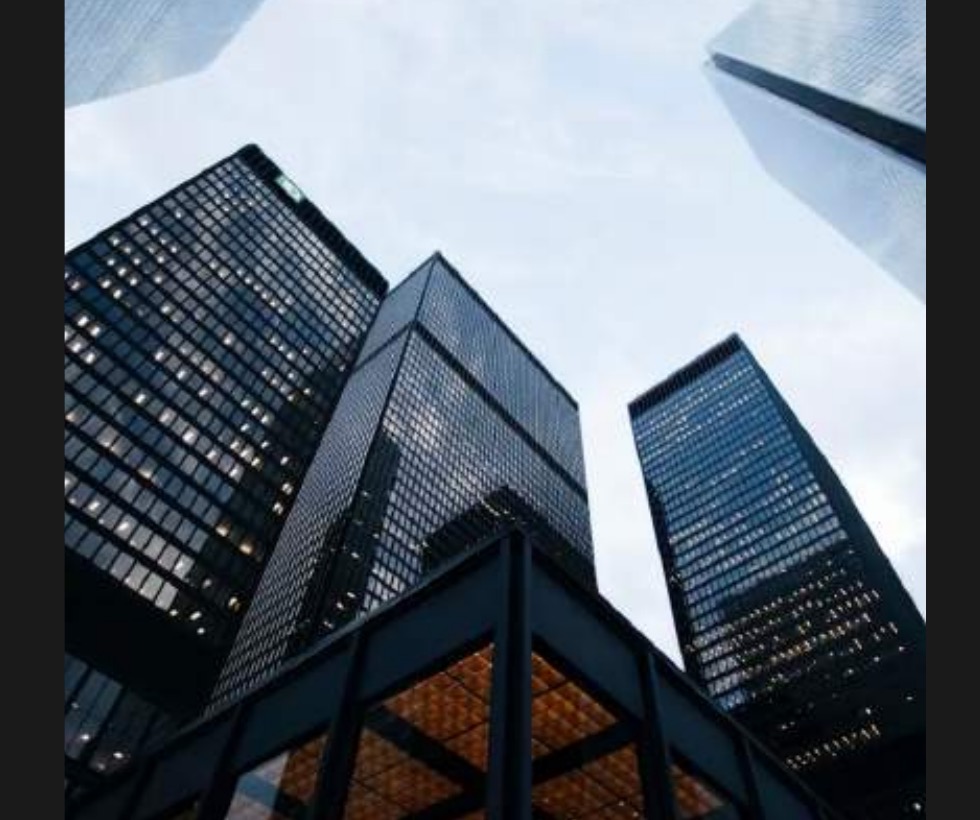 Brand Transformation & Digital Innovation